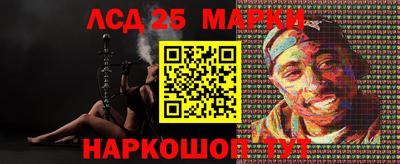 2c-b Камышлов